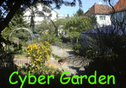 Designer garden